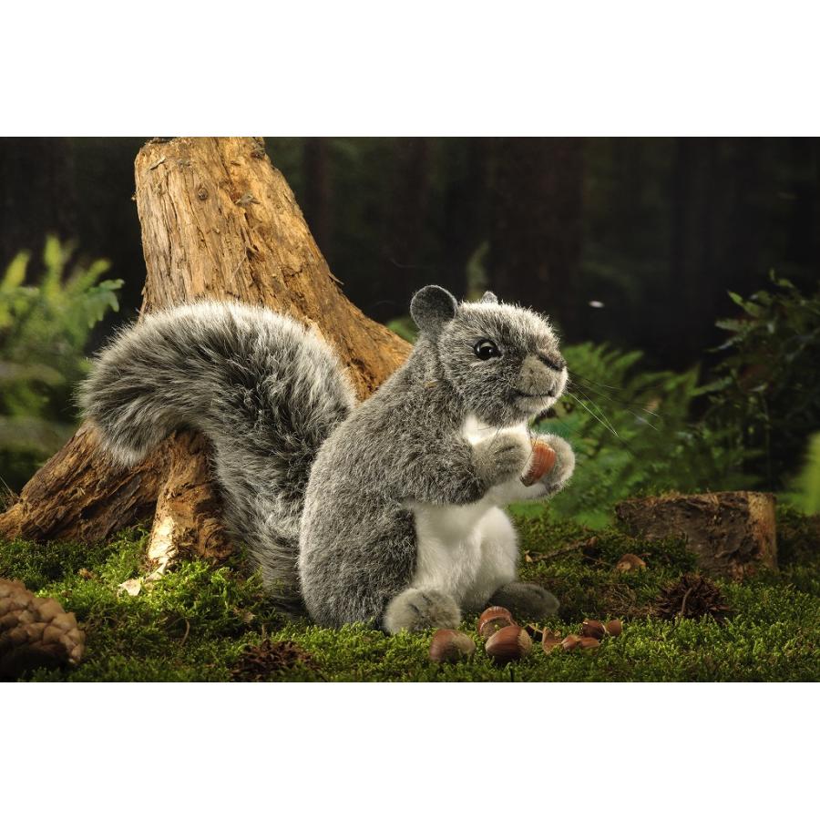 ケーセン ぬいぐるみ kosen アメリカアカリス  28cm American Squirrelの画像