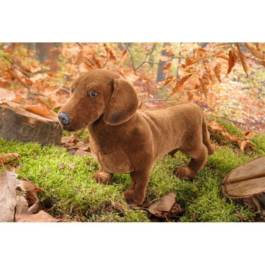 ケーセン ぬいぐるみ Kosen ダックスフント 29cm ドイツ製 リアル 動物