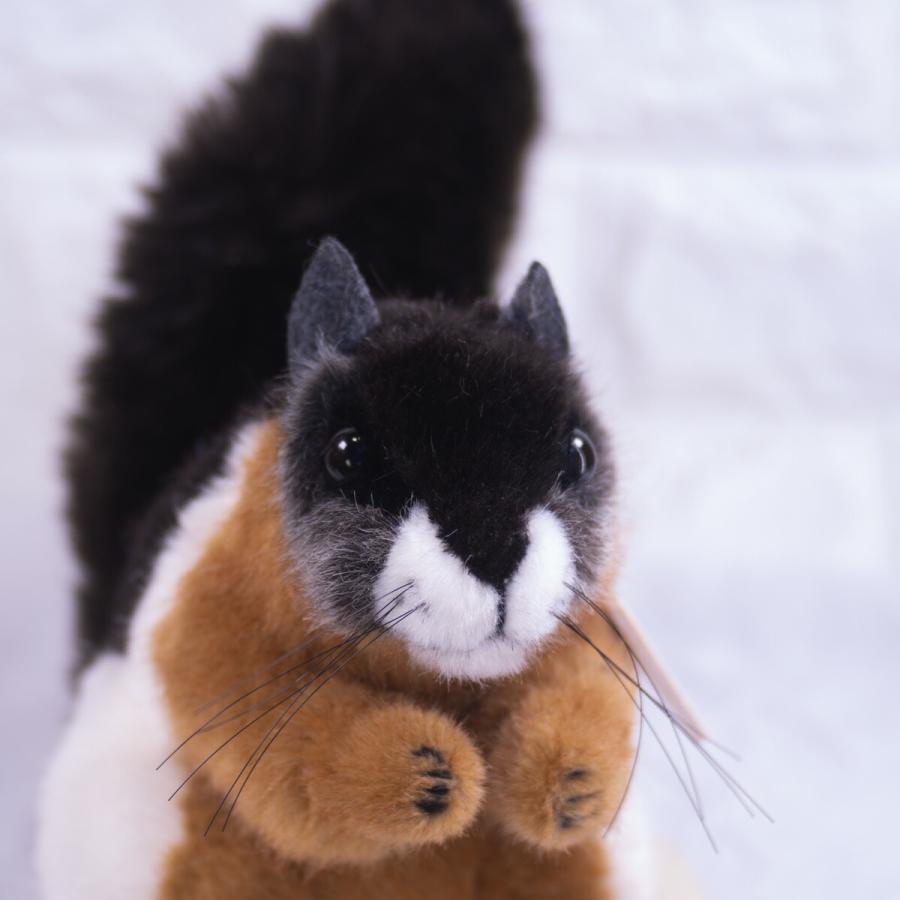 ケーセン ぬいぐるみ リス ミケリス 全長30cm ドイツ製 ギフト