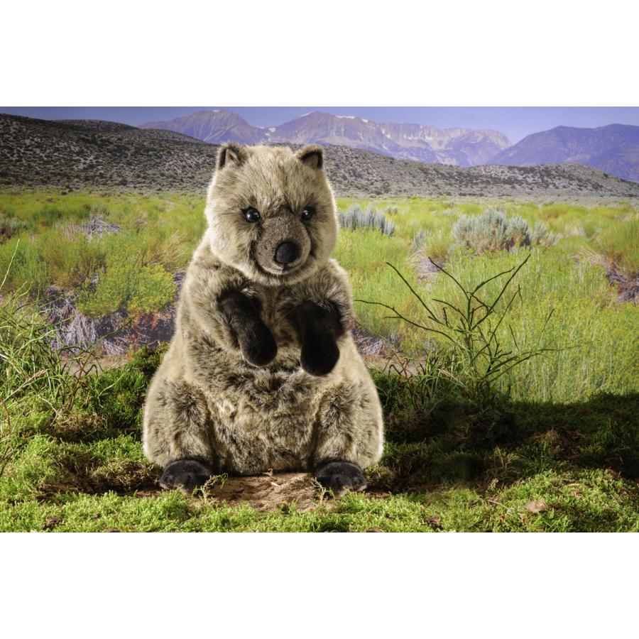 ケーセン ぬいぐるみ Kosen クオッカ 中 32cm Quokka medium ドイツ製