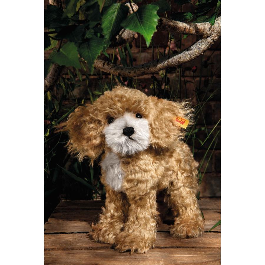 シュタイフ　steiff 　コッカープー　犬 コッカープーのカーリー | ドイツ最高級テディベアのシュタイフ