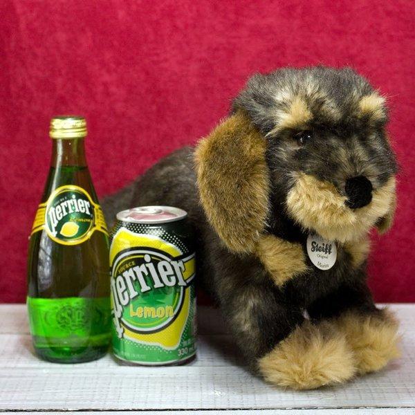 Steiff（シュタイフ） テディベア テディベア ぬいぐるみモリッツ