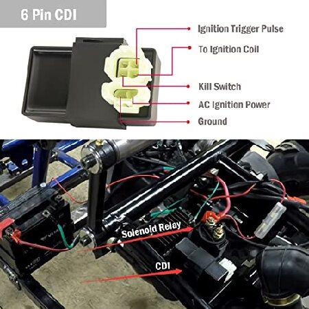 安い純正品 Complete Wiring Harness Kit ATV Wire for GY6 150cc 125cc Scooter Moped 4-Stroke Engine， Electric ATV Wire Harness Kit with CDI Stator Regulato並行輸入