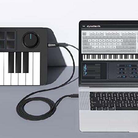 人気商品多数 Dynattenik USB-C B MIDI変換インターフェース - 電子ピアノ、シンセサイザー、電子ドラム、ディオインターフェイス、などのMIDI機器をシンプルに接続す並行輸入
