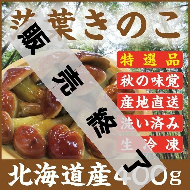 落葉きのこ 北海道産 天然 400g(200g×2袋) 生冷凍 らくようきのこ