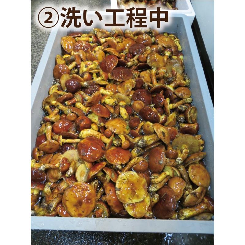 落葉きのこ 北海道産 天然1kg(200g×5袋) 生冷凍 らくようきのこ ハナイグチ　2023年度産 |  | 02
