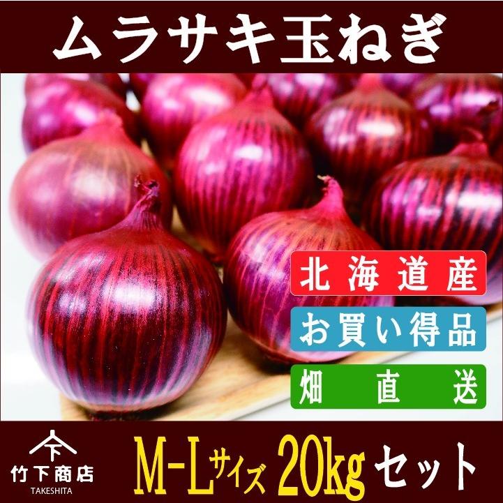 紫玉ねぎ 赤玉ねぎ 北海道産m Lサイズ 約kg 2セット目より送料無料 Akatama 岩見沢物産拠点センターイワホ 通販 Yahoo ショッピング