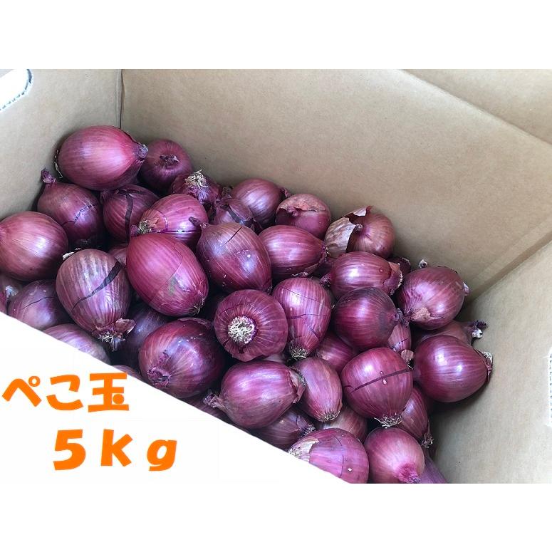 超可爱 北海道yaoya小物専門店赤玉ねぎ 北海道産 アーリーレッド ｍ ｌ ｌ大サイス以上 ５ｋg 赤玉葱 赤玉ネギ あかたまねぎ Adams Com Ec