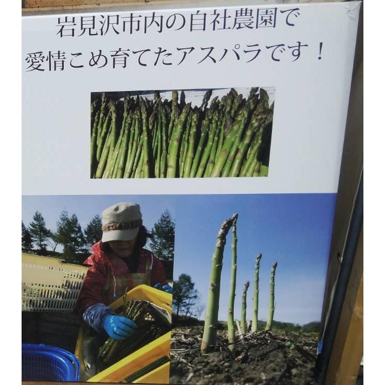 アスパラ グリーン アスパラガス 北海道産 1,500g S-Lサイズ 2025年度産 |  | 05