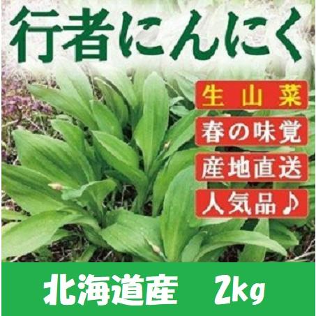 行者ニンニク 葉 北海道産2kg 醤油漬けや餃子に最高 生山菜 行者ニンニク 葉 北海道産2kg 醤油漬けや餃子に最高 生山菜