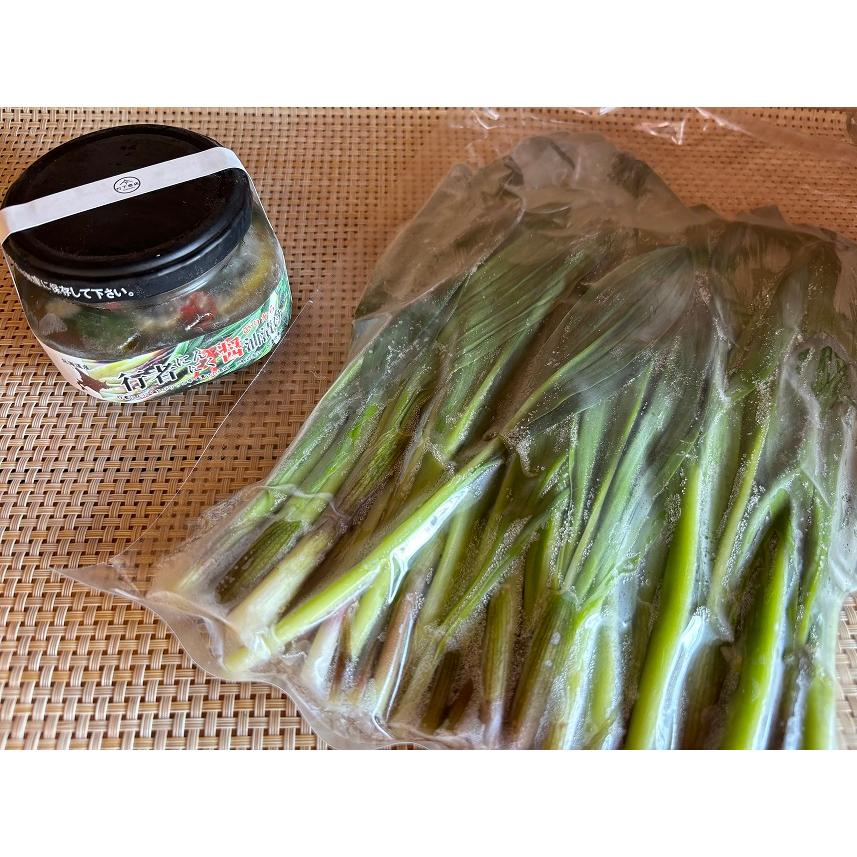 行者にんにくセット 行者にんにく葉(冷凍)500g(250g×2袋) 行者にんにく