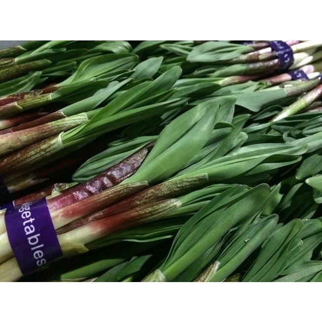 行者にんにく 芽 急速冷凍 北海道産 500ｇ 100g ５袋 醤油漬けや餃子に最高 ギョウジャニンニク Gyouzyaninnnikume Reitou 岩見沢物産拠点センターイワホ 通販 Yahoo ショッピング