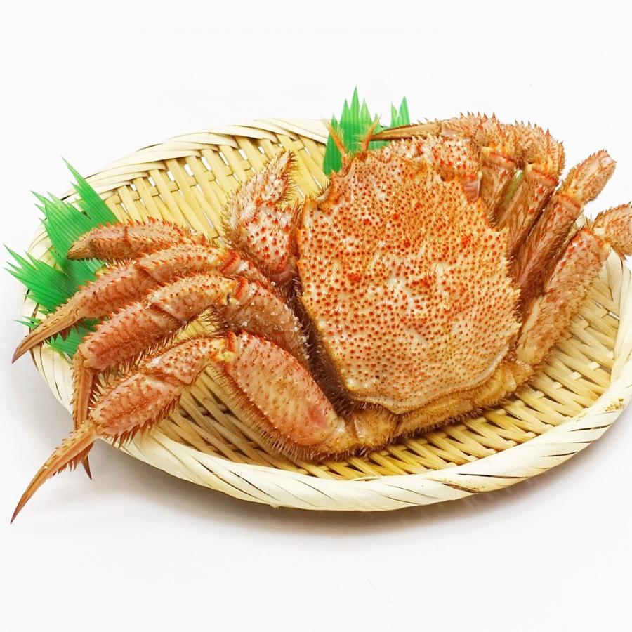 北海道産 毛ガニ１尾 450グラム前後 茹で冷凍 Kegani01 岩見沢物産拠点センターイワホ 通販 Yahoo ショッピング