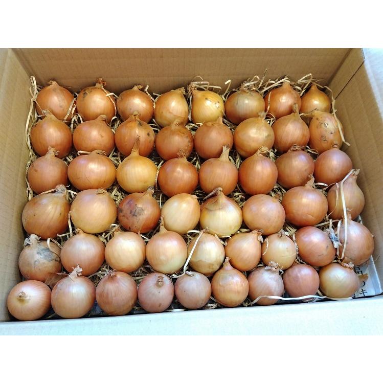 た〜っぷり玉ねぎ10キロ 使い切りサイズ08
