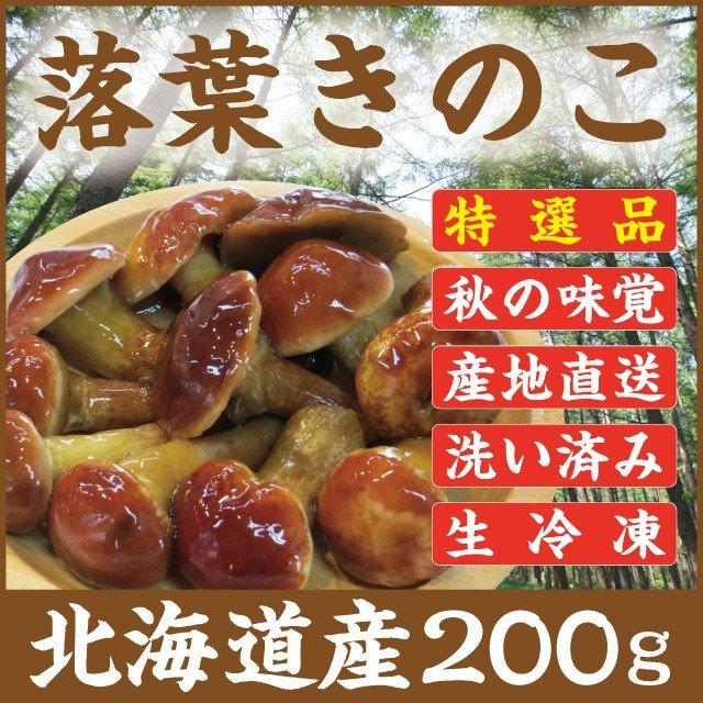 落葉きのこ 訳あり品 北海道産 天然200g 生冷凍 らくようきのこ