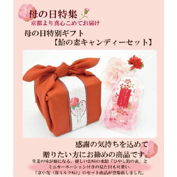 母の日のプレゼント 母の日 2025 ギフト プチギフト 飴の素