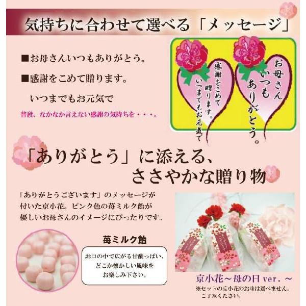 母の日のプレゼント 母の日 2026 ギフト プチギフト 飴の素