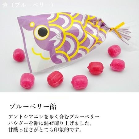 こどもの日 お菓子 五月節句 プチギフト プチ京鯉のぼり 2ケース（100