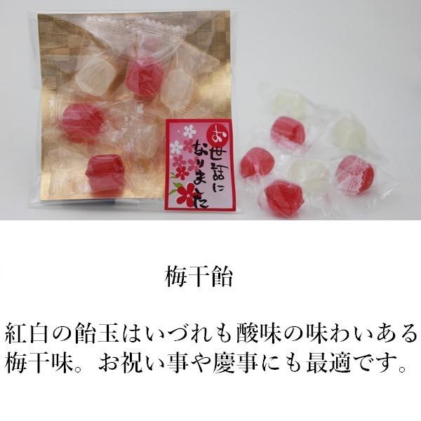 プチギフト 退職 お菓子 あめいろこづつみ 【100袋】 お世話になりました お礼 メッセージ 餞別 お返し 個包装 大量 転勤_3