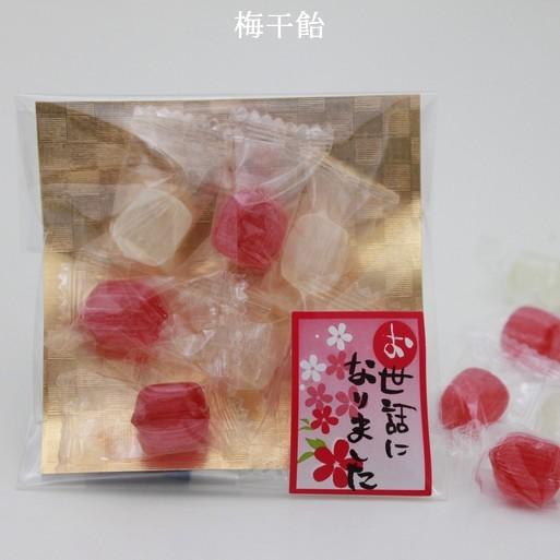 プチギフト 退職 お菓子 あめいろこづつみ 【250袋】 お世話になりました お礼 メッセージ 餞別 お返し 個包装 大量_2