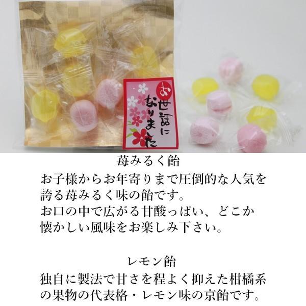 プチギフト 退職 お菓子 あめいろこづつみ 【250袋】 お世話になりました お礼 メッセージ 餞別 お返し 個包装 大量_9