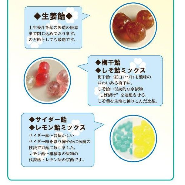 退職 転勤 お菓子 プチギフト プチ選べる京飴 お世話になりました お礼 メッセージ 餞別 お返し 個包装 ギフト Taitenera 京の飴工房 通販 Yahoo ショッピング