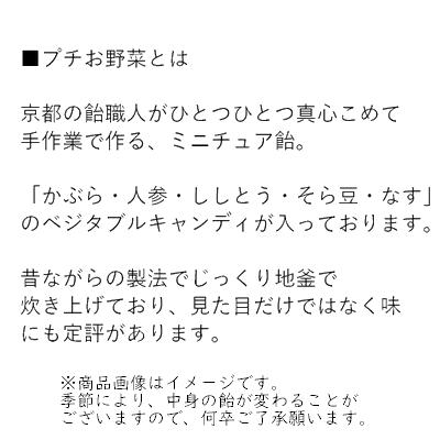 退職 転勤 お菓子 プチギフト プチお野菜 お世話になりました お礼 メッセージ 餞別 お返し かわいい｜iwaiseika｜03