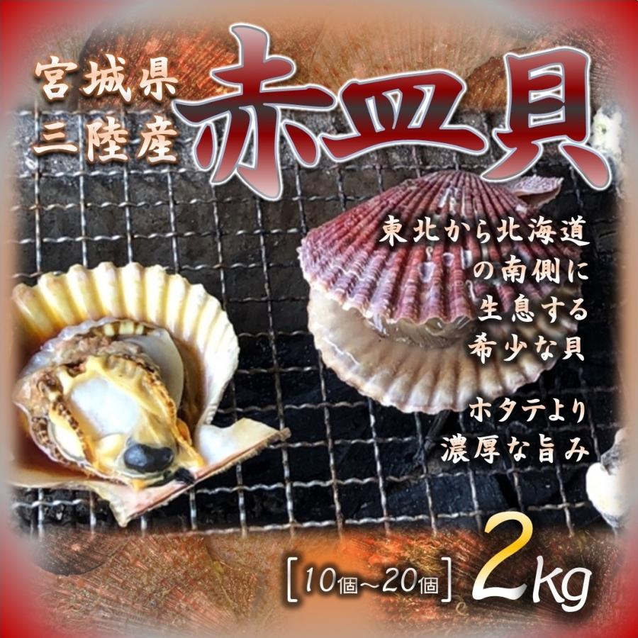 宮城県三陸産 赤皿貝 2kg 余り出回らない希少な貝 加熱用 数量限定