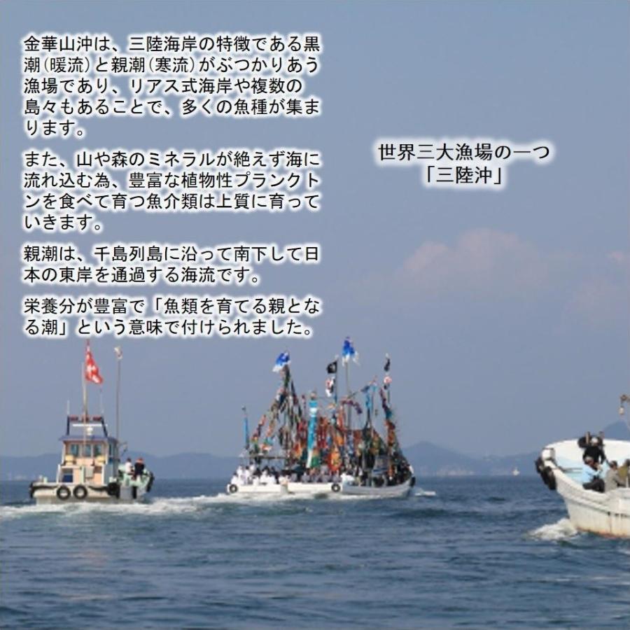 さば 宮城県三陸産 金華しめさば 3枚セット 送料無料 ブランド鯖 こだわり製法 特大サバ 金華育ち |  | 01