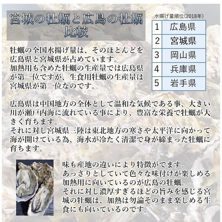 生食 OK カキ みちのく三陸産 殻付き生牡蠣 3kg 送料無料 レビュー投稿で 牡蠣ナイフ 付属 亜鉛の摂取源No.1 新鮮 宮城 産地直送 セール 海鮮 キャンプ ギフト｜iwakaki-shop-y｜06