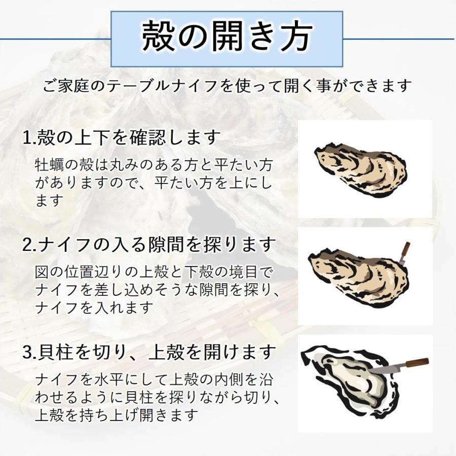 生食 OK カキ みちのく三陸産 殻付き生牡蠣 5kg 今季初出し 希少 亜鉛の摂取源No.1 新鮮 石巻 宮城 産地直送 ミネラル アミノ酸 タウリン セール 海鮮 母の日｜iwakaki-shop-y｜09