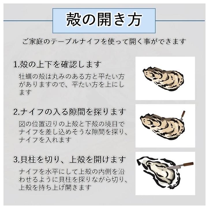 生食 OK カキ みちのく三陸産 殻付き生牡蠣 7kg 送料無料 レビュー投稿で 牡蠣ナイフ 付属 亜鉛の摂取源No.1 新鮮 宮城 産地直送 セール 海鮮 キャンプ ギフト｜iwakaki-shop-y｜10