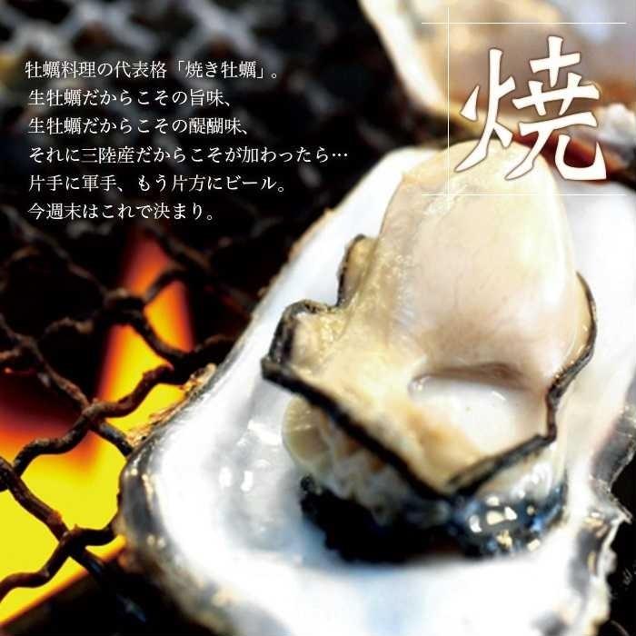 生食 OK カキ みちのく三陸産 殻付き生牡蠣 7kg 送料無料 レビュー投稿で 牡蠣ナイフ 付属 亜鉛の摂取源No.1 新鮮 宮城 産地直送 セール 海鮮 キャンプ ギフト｜iwakaki-shop-y｜12