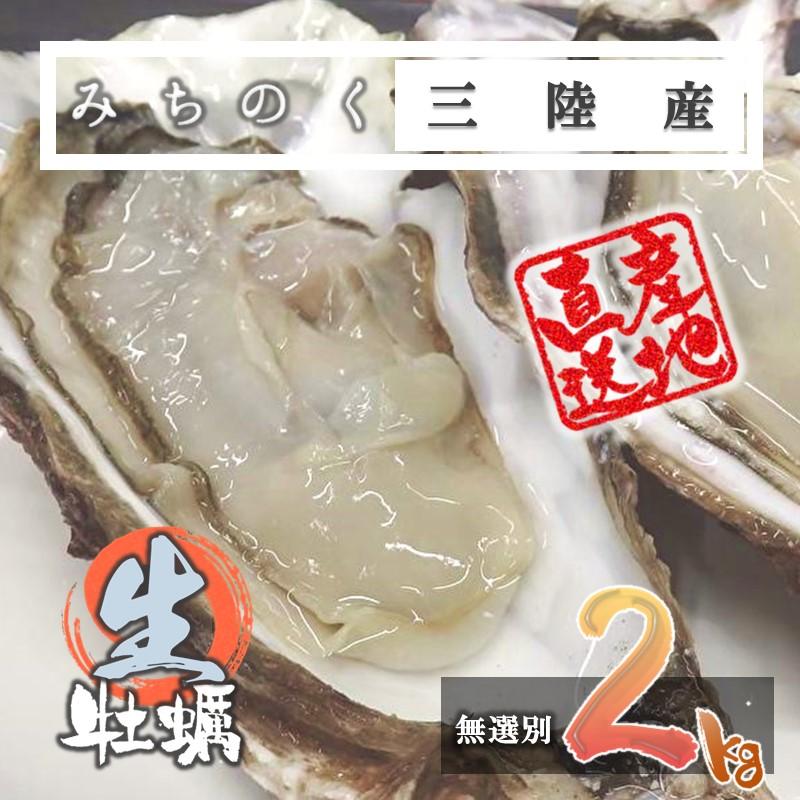 牡蠣 生食用 かき 殻付き 2kg 希少 新鮮 石巻 宮城 産地直送 海鮮 魚介