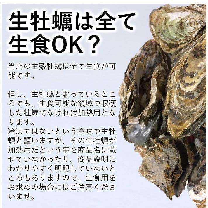 生食 OK カキ みちのく三陸産 殻付き生牡蠣 2kg 送料無料 レビュー投稿で 牡蠣ナイフ 付属 亜鉛の摂取源No.1 新鮮 宮城 産地直送 セール 海鮮 キャンプ ギフト｜iwakaki-shop-y｜08