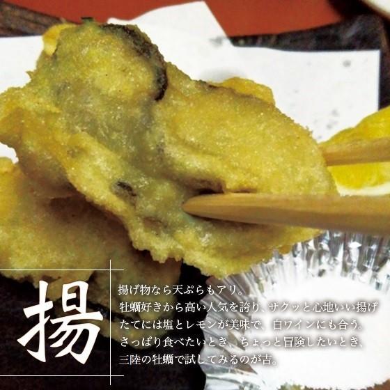 カキ みちのく三陸産 殻牡蠣 10kg 加熱用 産地直送 世界三大漁場 石巻 亜鉛 鉄分 バーベキュー 冷凍で日持ち抜群 焼く 蒸す 煮る かきフライ等 様々なお料理に |  | 13