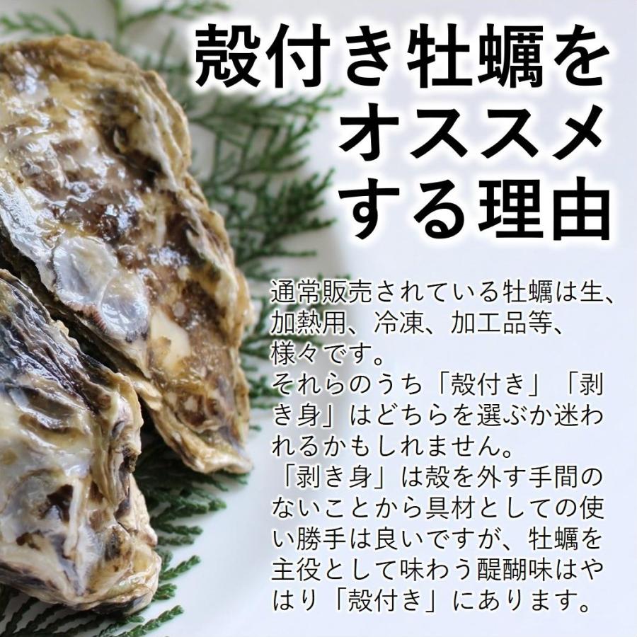 カキ みちのく三陸産 殻牡蠣 10kg 加熱用 産地直送 世界三大漁場 石巻 亜鉛 鉄分 バーベキュー 冷凍で日持ち抜群 焼く 蒸す 煮る かきフライ等 様々なお料理に |  | 04