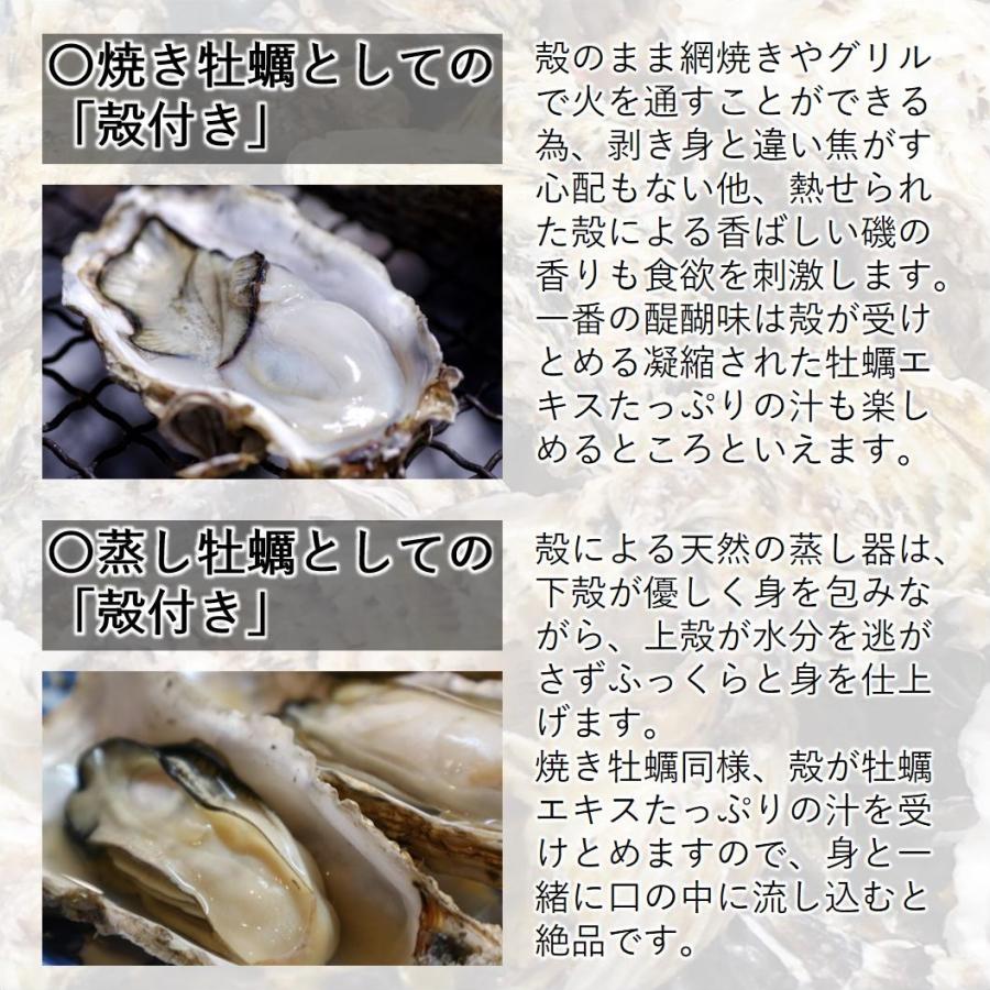 カキ みちのく三陸産 殻牡蠣 10kg 加熱用 産地直送 世界三大漁場 石巻 亜鉛 鉄分 バーベキュー 冷凍で日持ち抜群 焼く 蒸す 煮る かきフライ等 様々なお料理に |  | 05