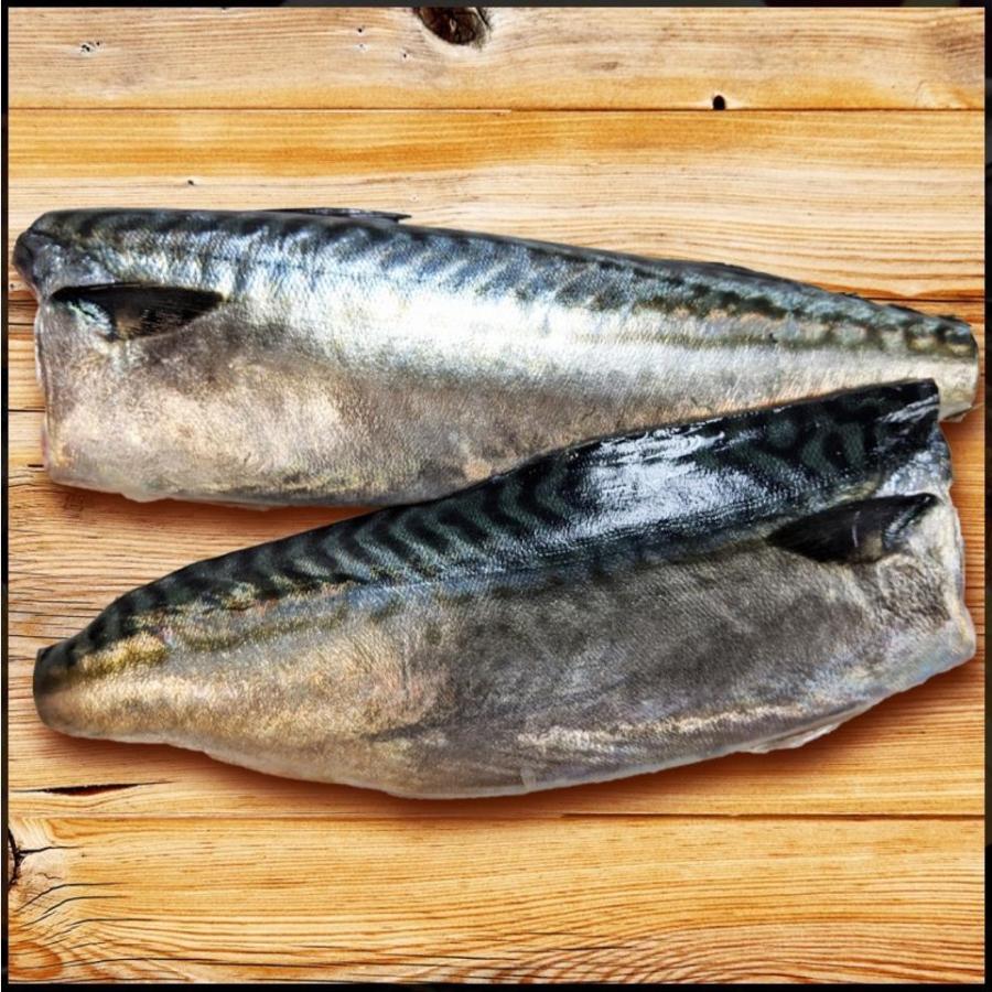 さば 宮城県三陸産 昆布仕込み金華さば干し 5枚セット 送料無料 ブランド鯖 干物 こだわり製法 金華育ち |  | 09