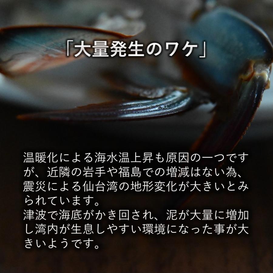 三陸産ワタリガニ 2kg [6杯〜12杯] 無選別 ボイル済み すぐに食べられる 冷凍 ケジャンやチゲ、鍋にも大人気の商品｜iwakaki-shop-y｜04