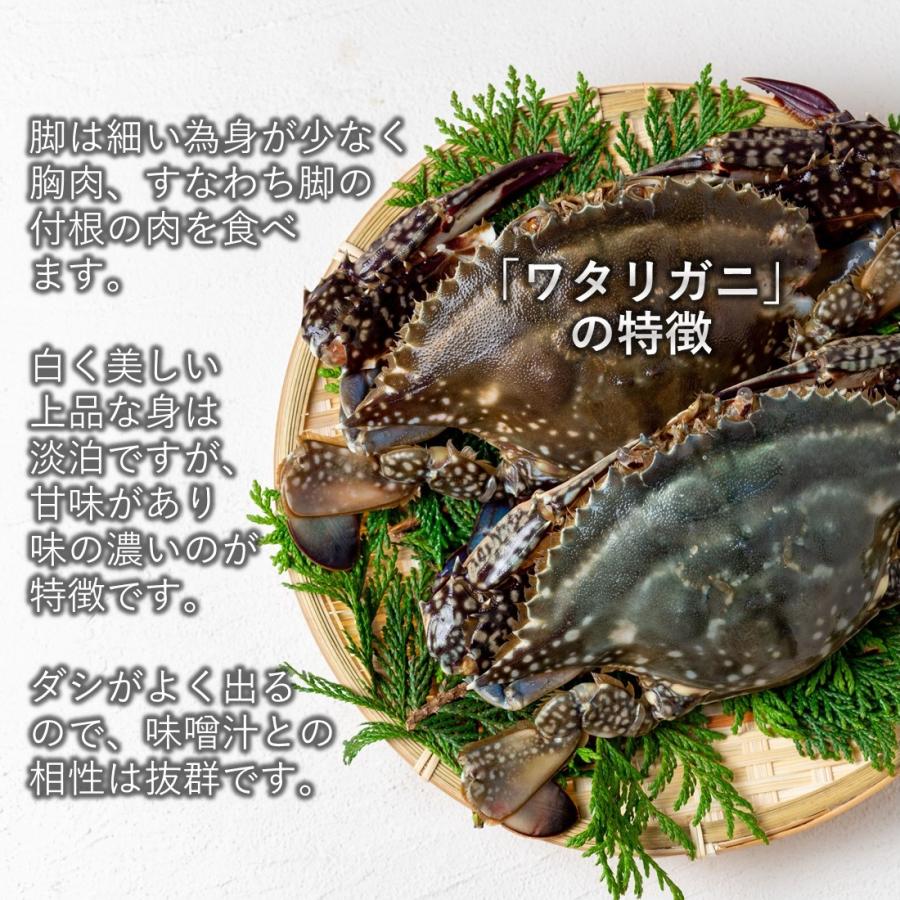 三陸産ワタリガニ 2kg [6杯〜12杯] 無選別 ボイル済み すぐに食べられる 冷凍 ケジャンやチゲ、鍋にも大人気の商品｜iwakaki-shop-y｜06