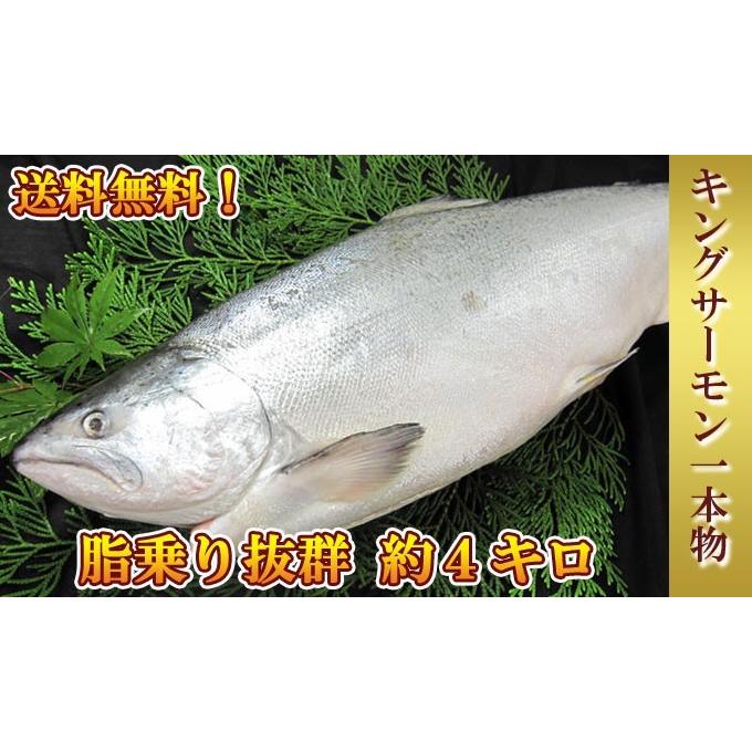 キングサーモン 豪華一本物 頭付き 約4 0kg 送料無料 お取り寄せグルメ 11月5日以降の出荷になります サーモン専門店岩松 通販 Yahoo ショッピング