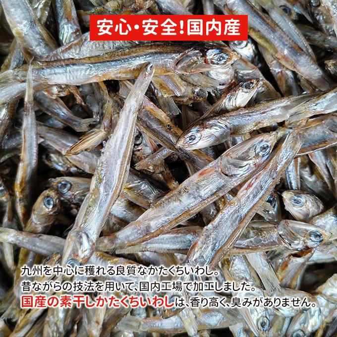 68%OFF!】 煮干 かたくちいわし 100g かえり(いりこ煮干) 90g 富澤商店 公式