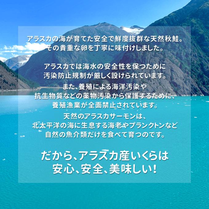 母の日 プレゼント イクラ アラスカ産＋刺身サーモン塩麹漬け サーモン塩辛 送料無料 ギフト お取り寄せグルメ｜iwamatsu-salmon｜06