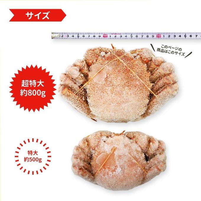 北海道産 ボイル 毛がに 超特大約800g 送料無料 海鮮 ギフト｜iwamatsu-salmon｜09