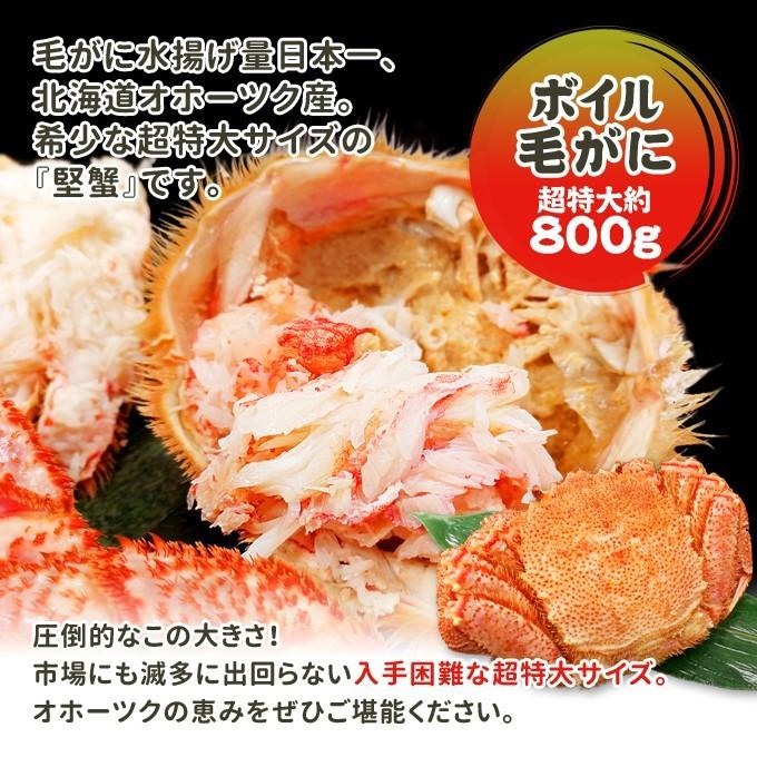 北海道産 ボイル 毛がに 超特大約800g 送料無料 海鮮 ギフト｜iwamatsu-salmon｜02
