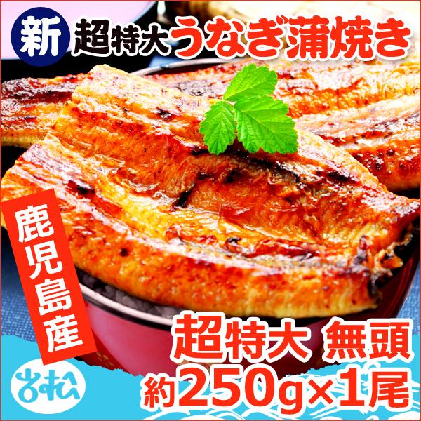 鹿児島産 新 超特大 国産 うなぎ蒲焼き 約250g1尾 送料無料 海鮮 プレゼント グルメ ギフト｜iwamatsu-salmon