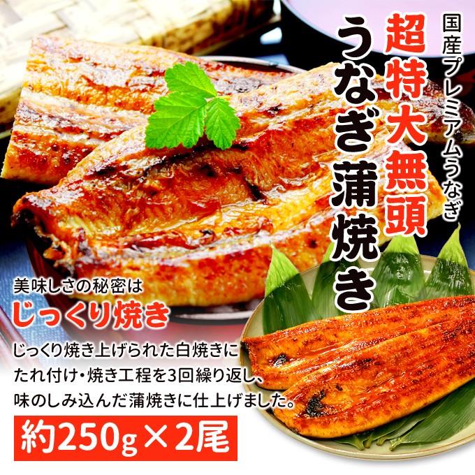 鹿児島産 新 超特大 国産 うなぎ蒲焼き 約250g×2尾 送料無料 海鮮 プレゼント グルメ ギフト｜iwamatsu-salmon｜02