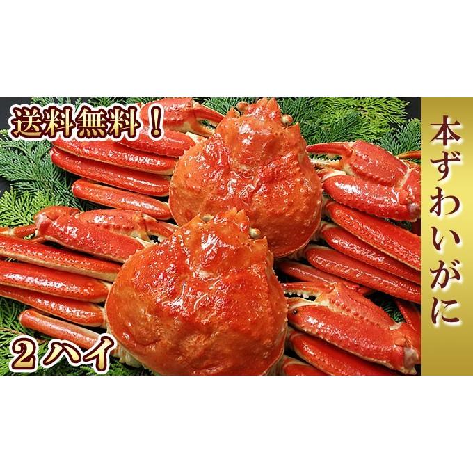 本 ズワイガニ 姿 2杯 約1.2kg 特大 ボイル ずわいがに ずわい蟹 ズワイ蟹 送料無料 ギフト 3〜5人前 お取り寄せグルメ 海鮮 ギフト|iwamatsu-salmon|02