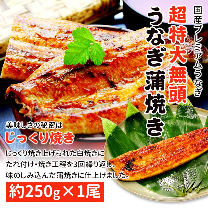 鹿児島産 新 超特大 国産 うなぎ蒲焼き 約250g1尾 送料無料 海鮮 プレゼント グルメ ギフト｜iwamatsu-salmon｜02